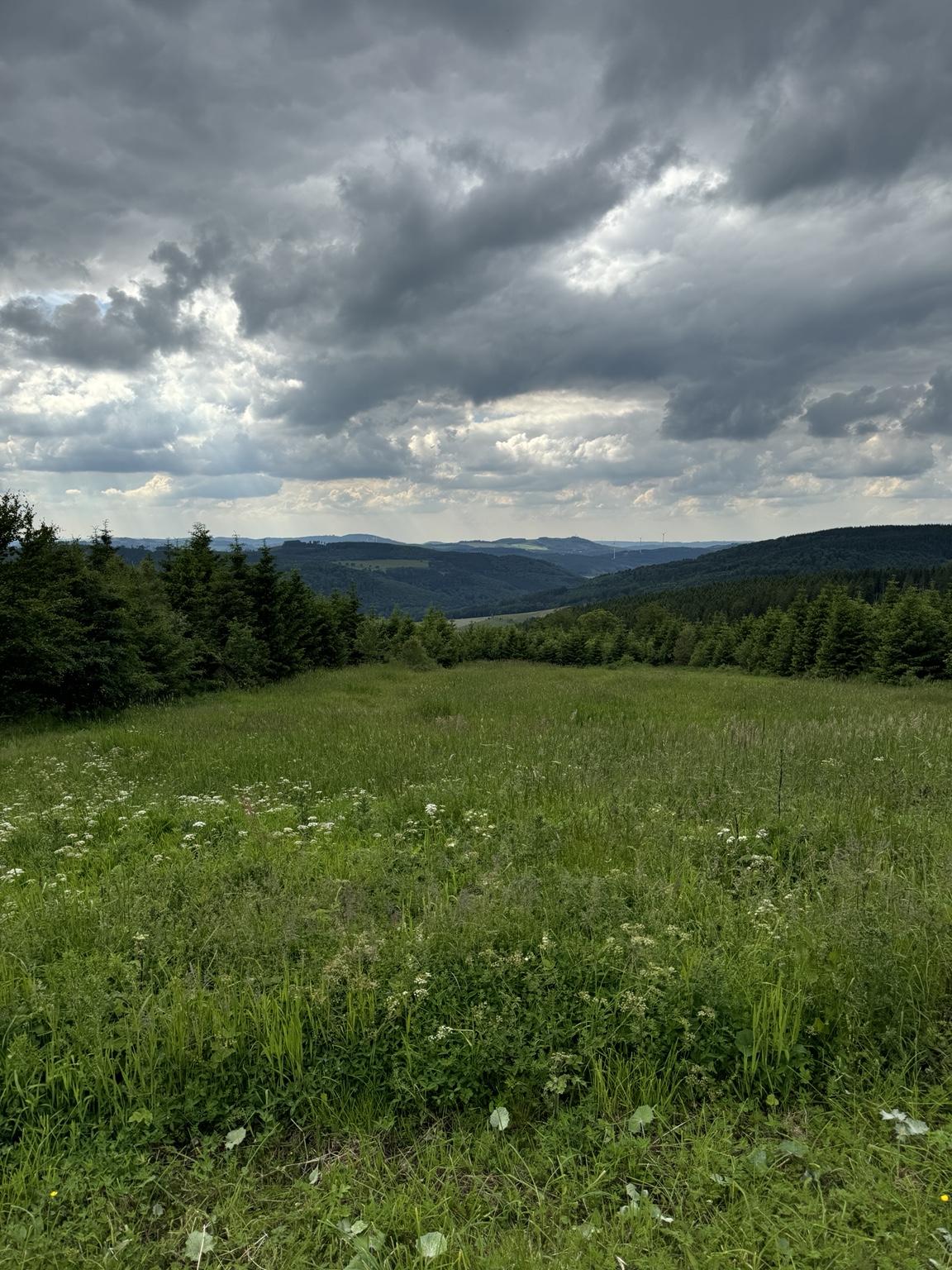 Hochheide und Wanderwege