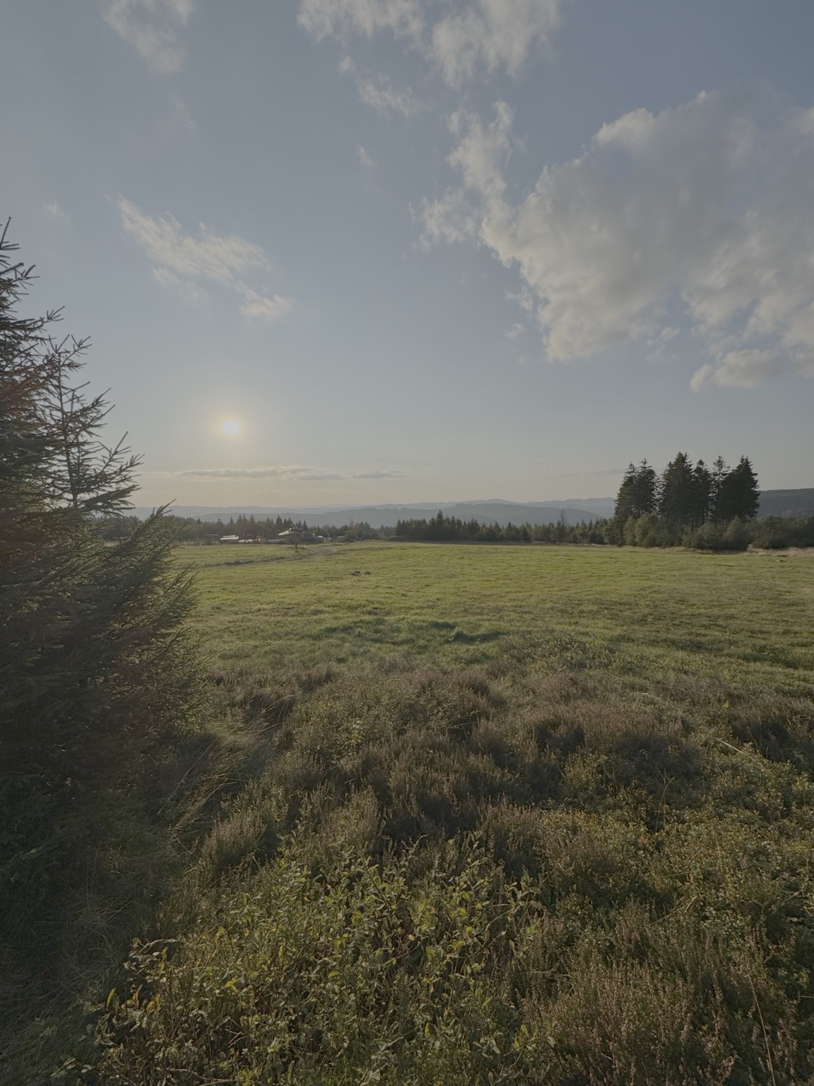 Sonnige Hochheide